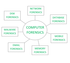 computer forensics jobs